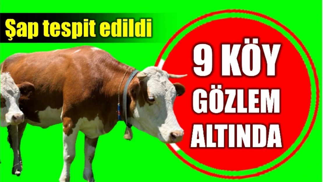 9 köy gözlem altına alındı