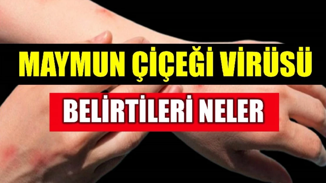 Hangi belirtiler virüsün habercisi