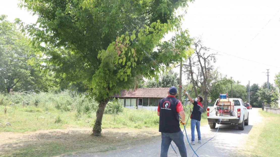 Her yer köşe bucak ilaçlanıyor