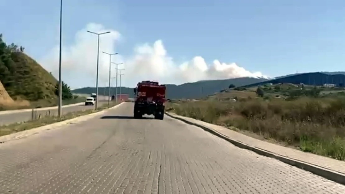 Karabük'te orman yangını