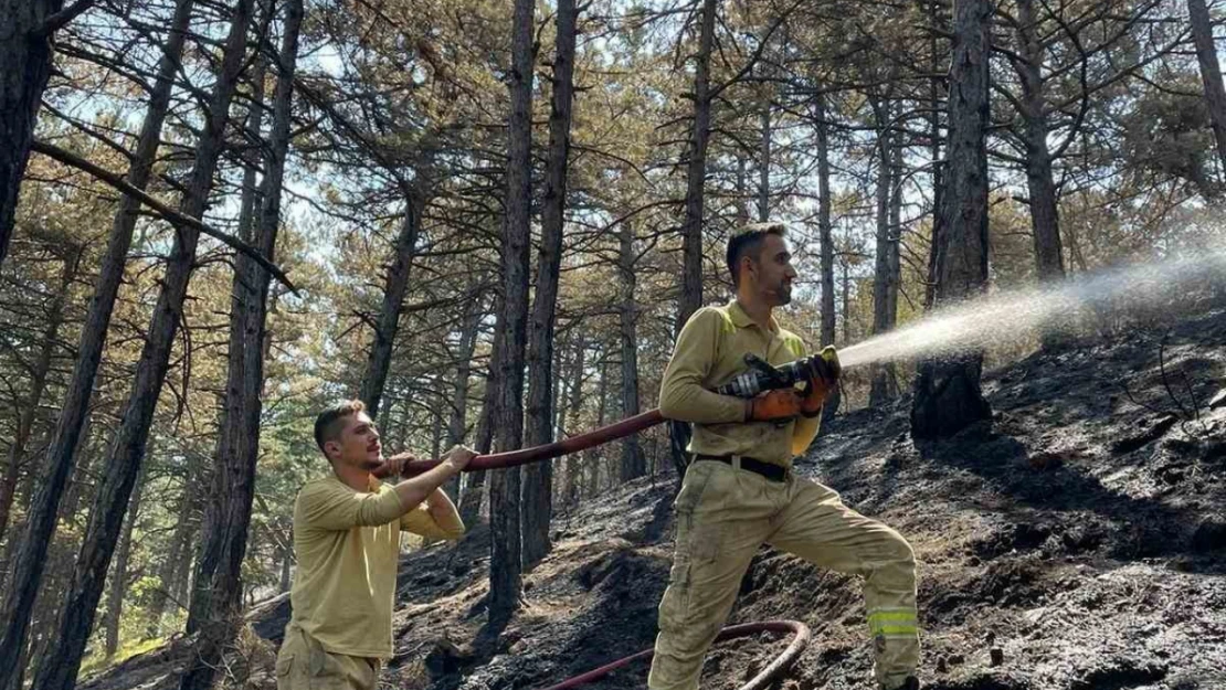 Karabük'te orman yangınında 7 hektar alan zarar gördü