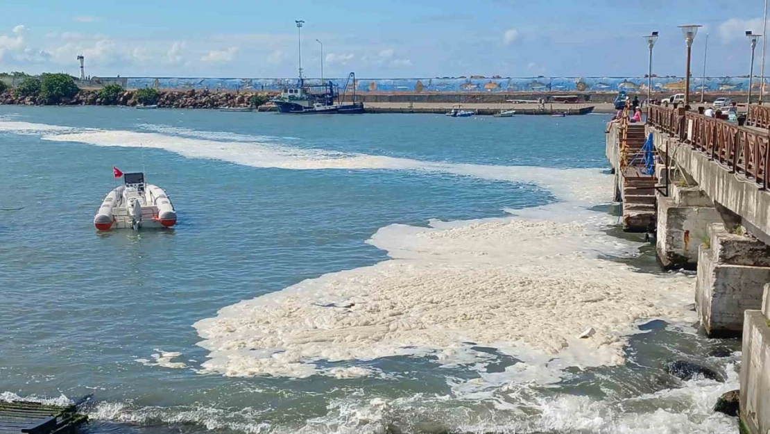 Karadeniz'deki kirliliğin müsilaj değil, alglerden kaynaklandığı ortaya çıktı