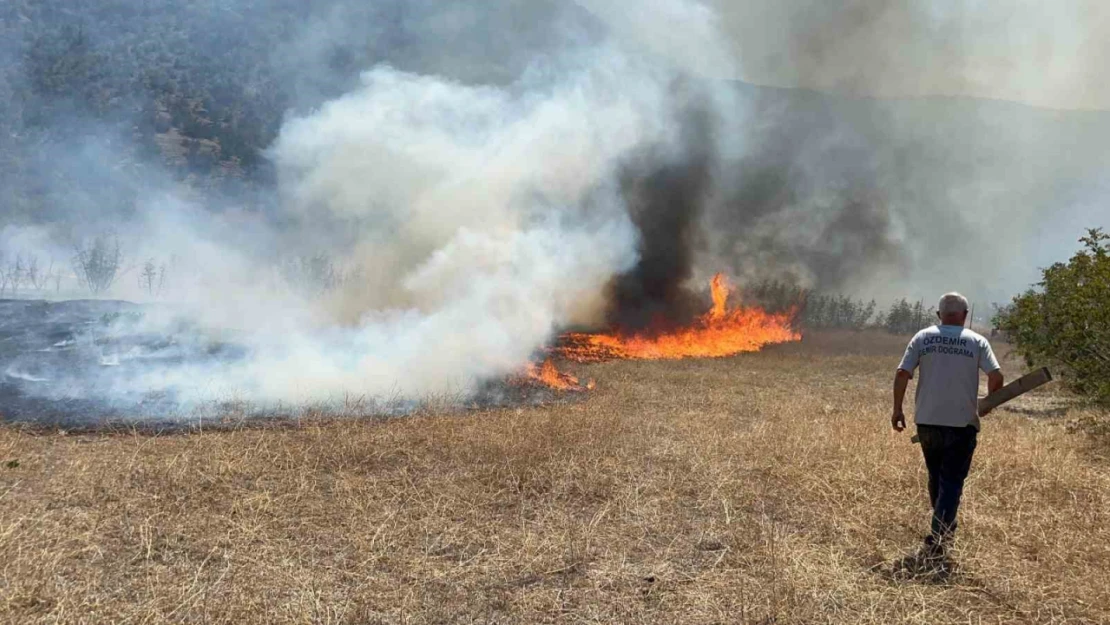 Kastamonu'da korkutan arazi yangını