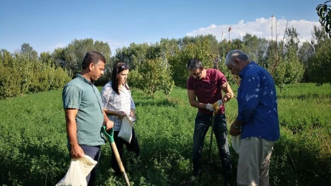 Kastamonu'da meralar ekonomik değere dönüştürülecek