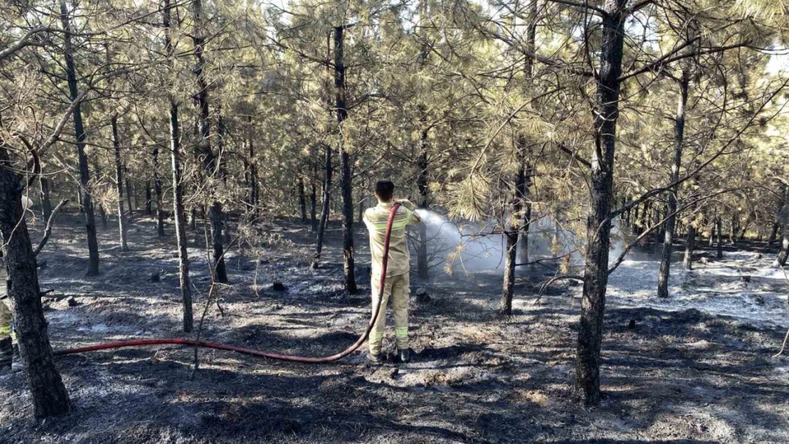 Kastamonu'daki orman yangını kontrol altına alındı