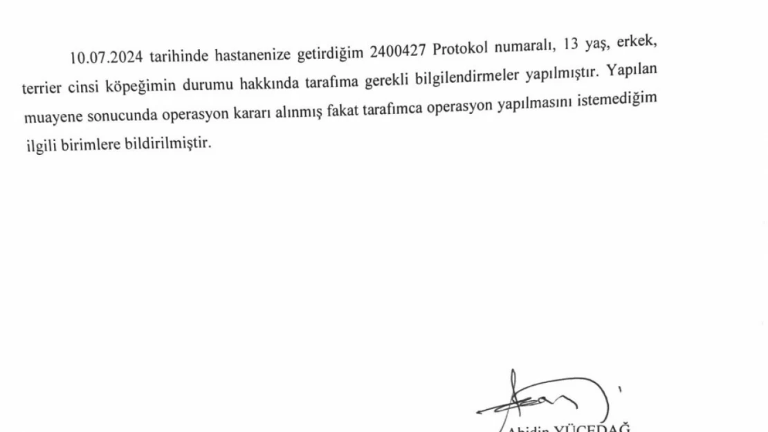 Kastamonu Üniversitesi'nden 'köpek' açıklaması