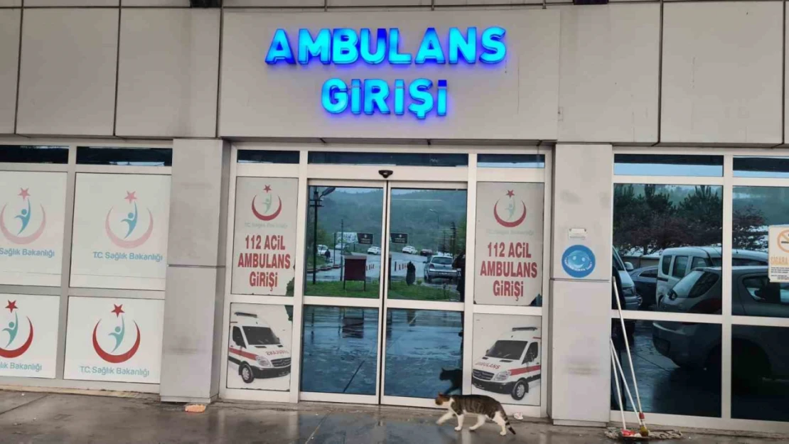 Kiraz toplamak için çıktığı ağaçtan düşen adam yaralandı