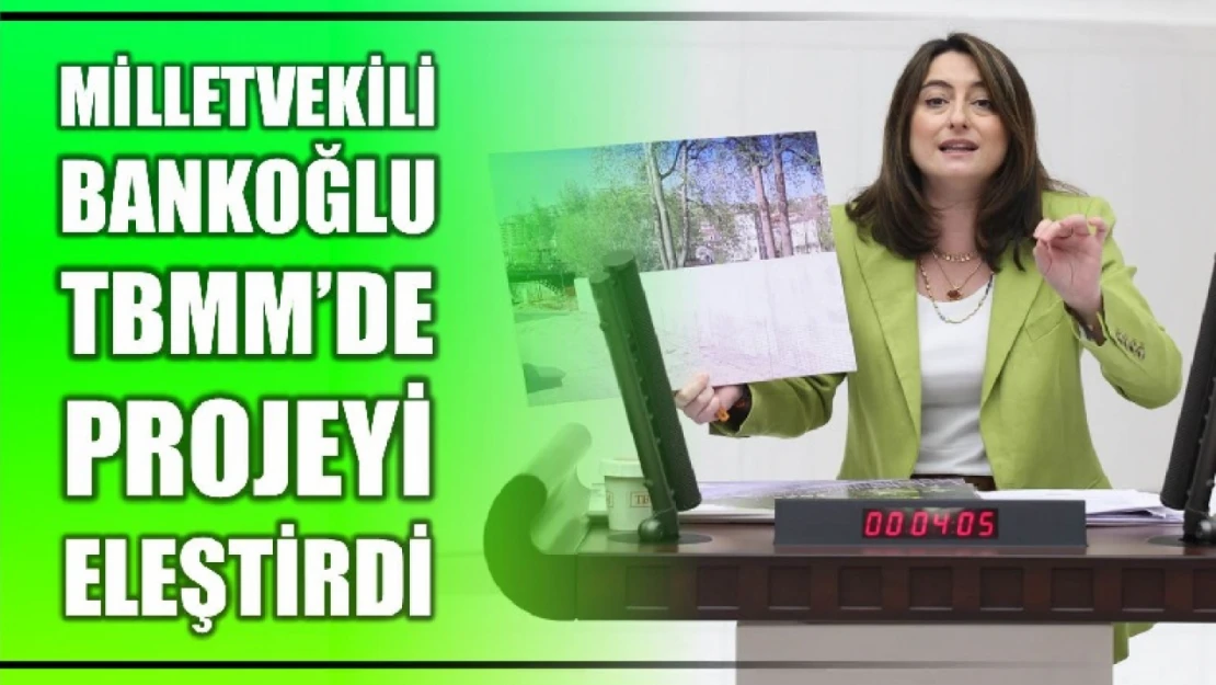 Milletvekili Bankoğlu, projeyi Çin Seddine benzetti