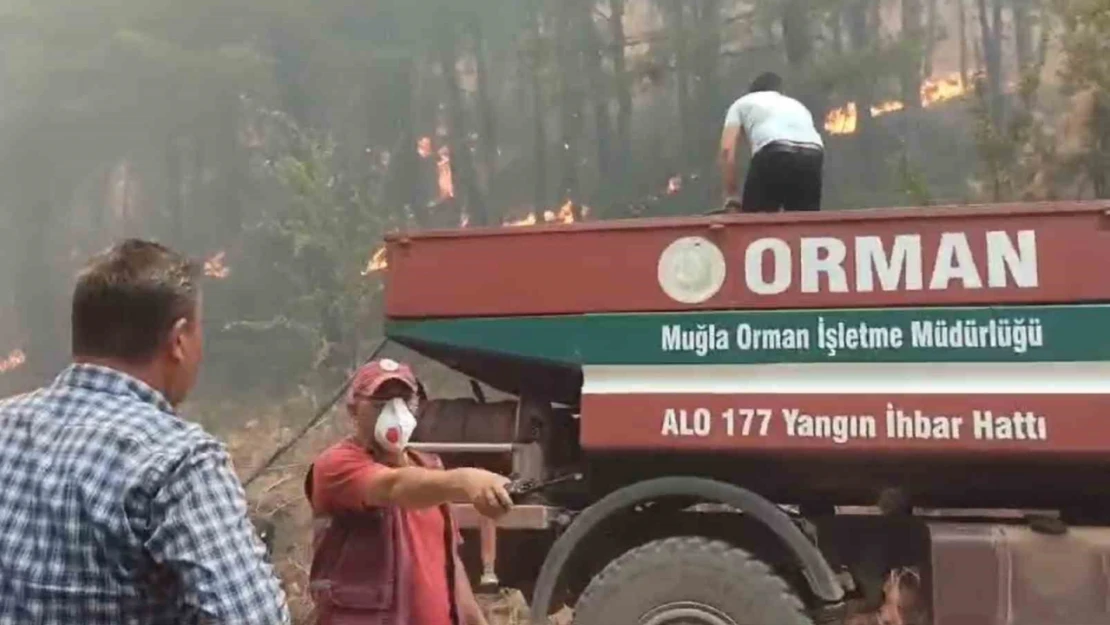 Muğla'daki orman yangınlarına müdahale sürüyor