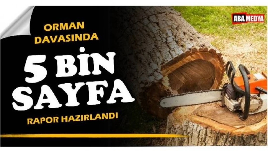 ORMAN DAVASINDA FLAŞ GELİŞME! BARTIN