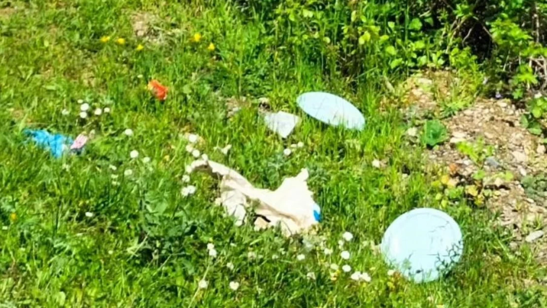 Ormanı çöplüğe çevirenlere köylülerden tepki