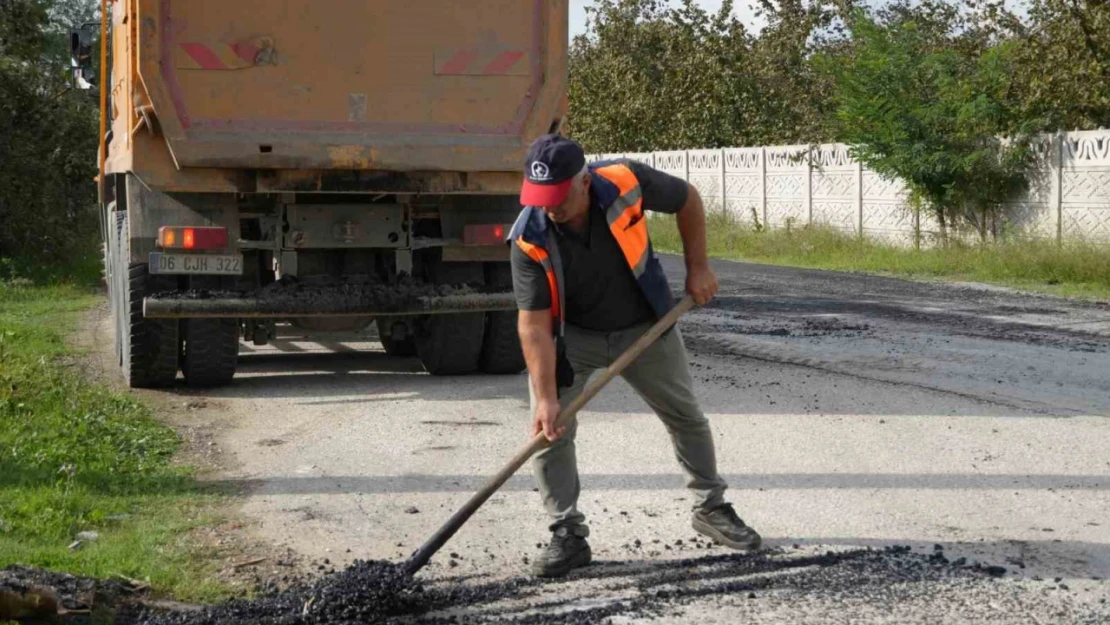 Otluoğlu'nda hummalı çalışma