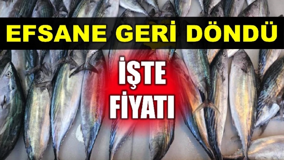 Palamut yeniden ucuzladı