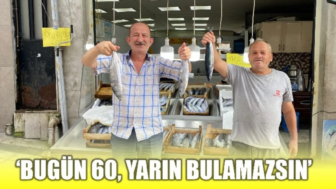 Palamut yüz güldürüyor