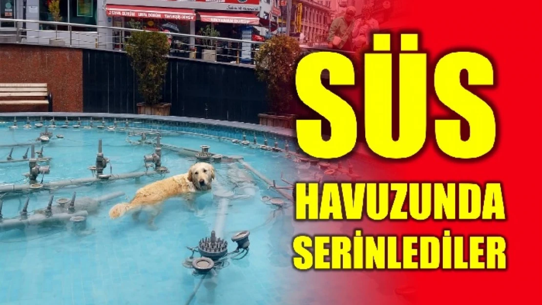 Sıcaktan bunaldılar