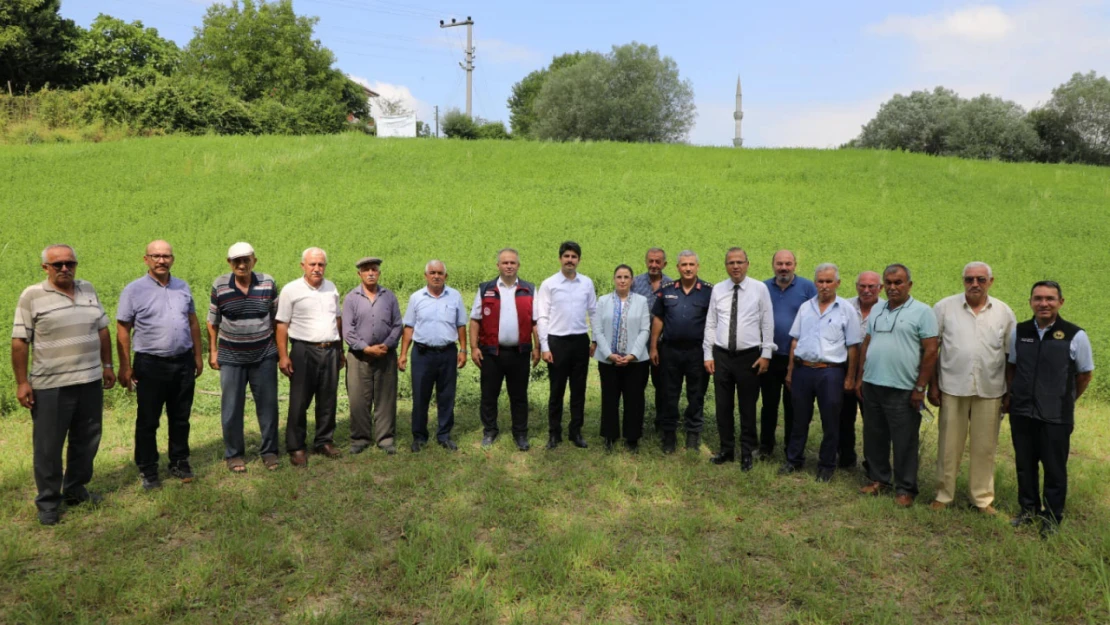 Tarla Günü etkinliği yonca tarlasında yapıldı