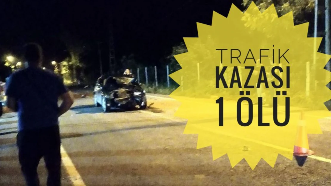 Trafik kazası 1 ölü