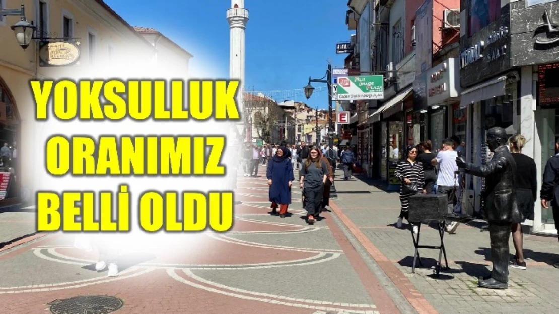 TÜİK açıkladı