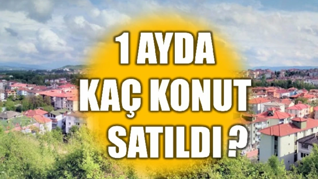 TÜİK o verileri açıkladı