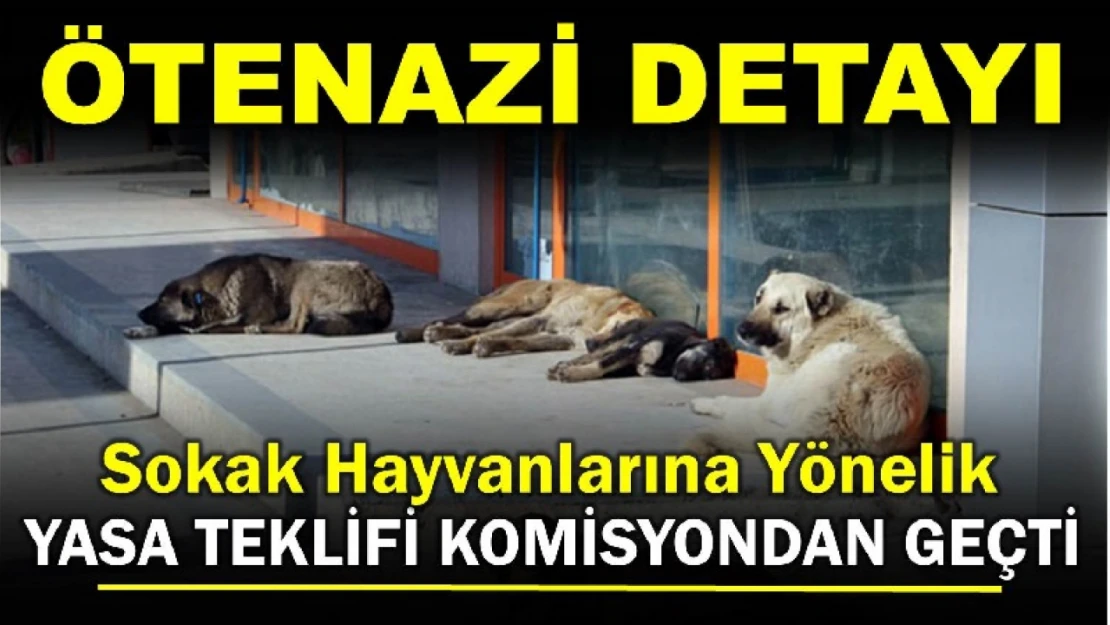 Yasa teklifi komisyondan geçti