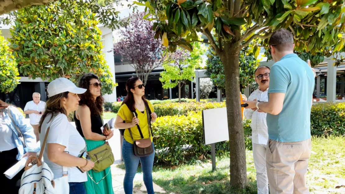 'Yeşil çatı' uygulamalarını incelediler