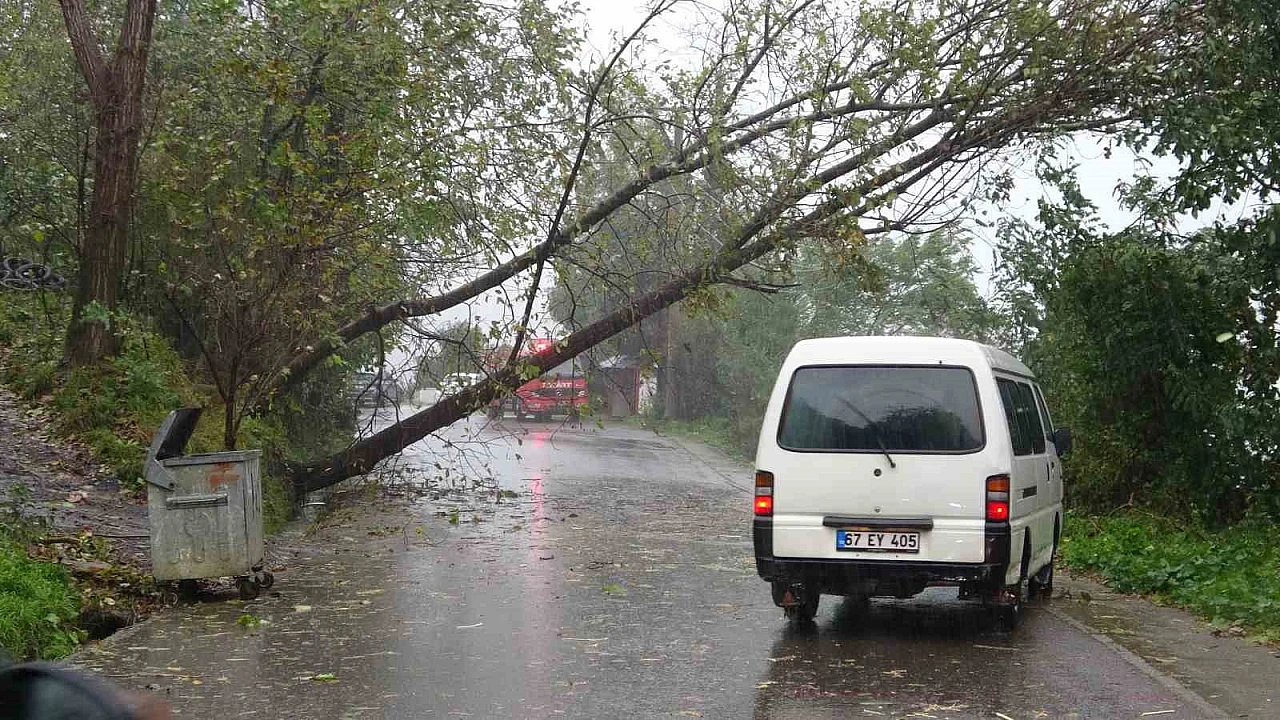 Zonguldak'ta Fırtına Ve Yağmur Hayatı Olumsuz Etkiledi