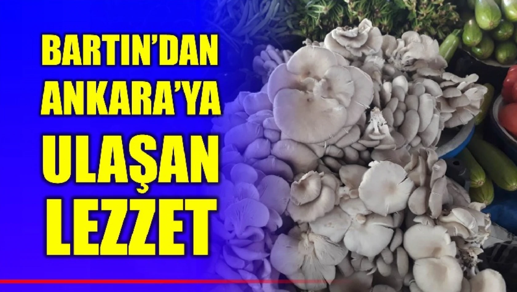 Bartın'dan Ankara'ya ulaşan lezzet