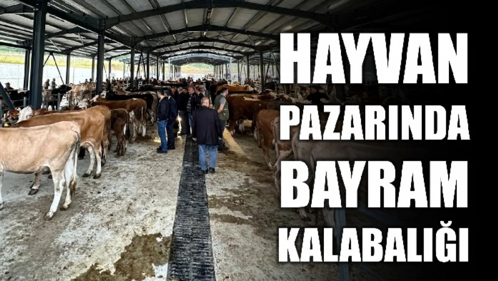 Hayvan pazarında kurban yoğunluğu