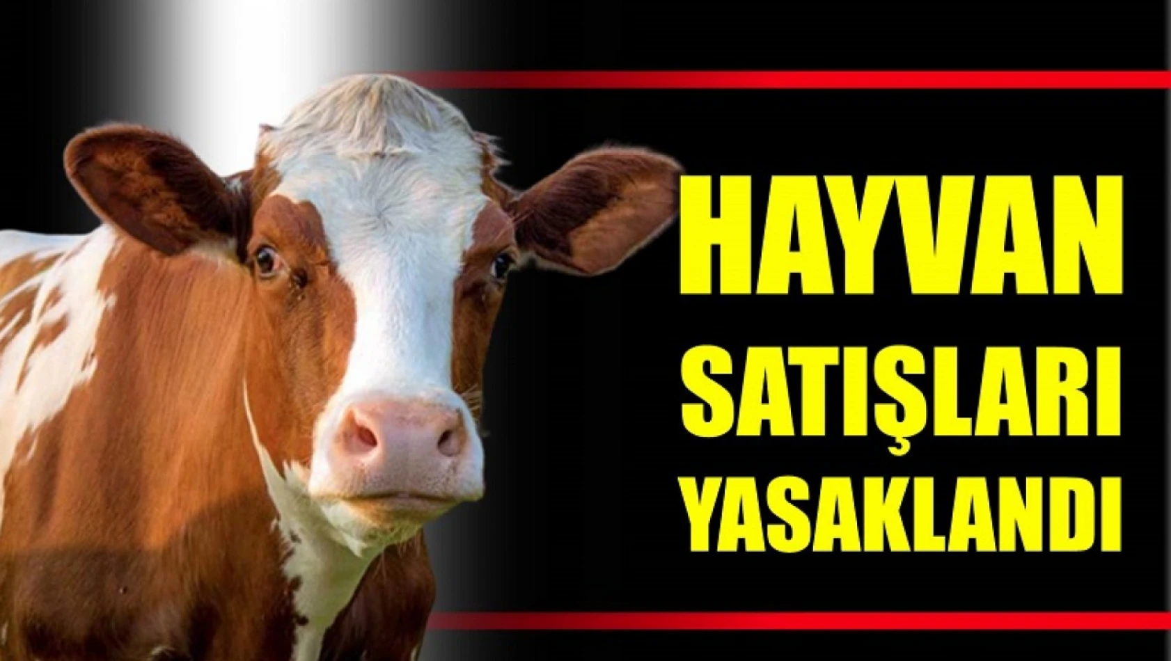 Hayvan satışı yasak olan köyler