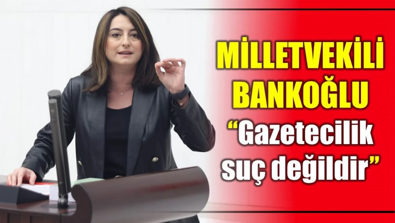 Milletvekili Bankoğlu, Gazetecilik suç değildir