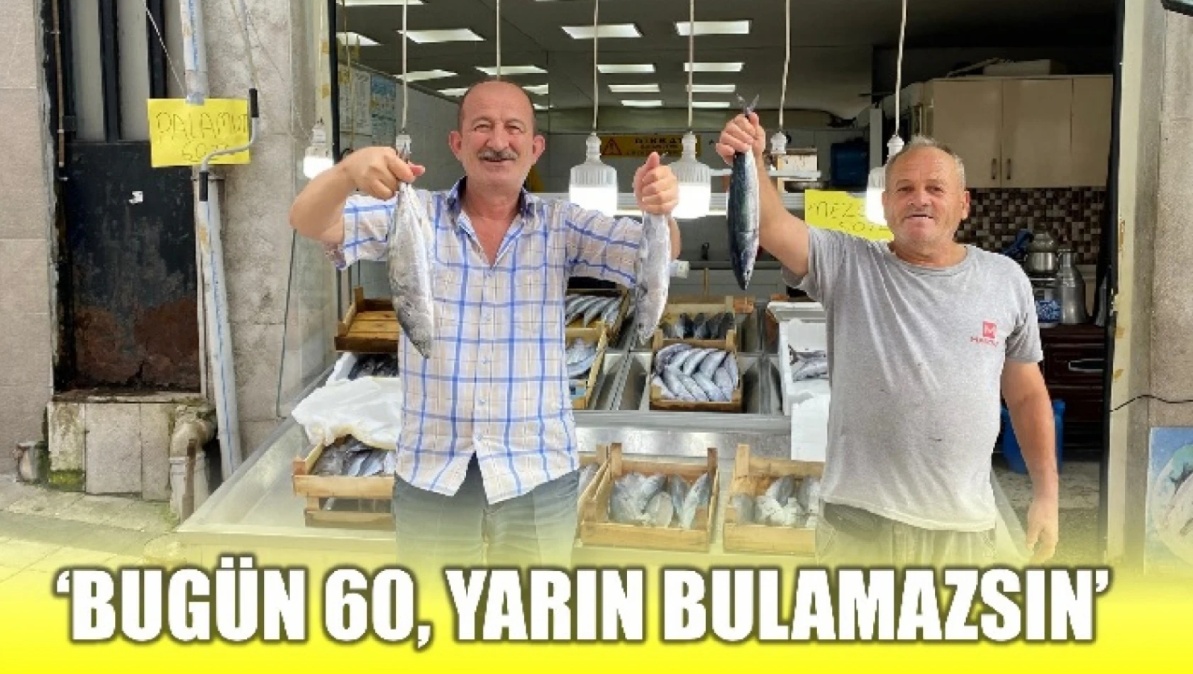 Palamut yüz güldürüyor