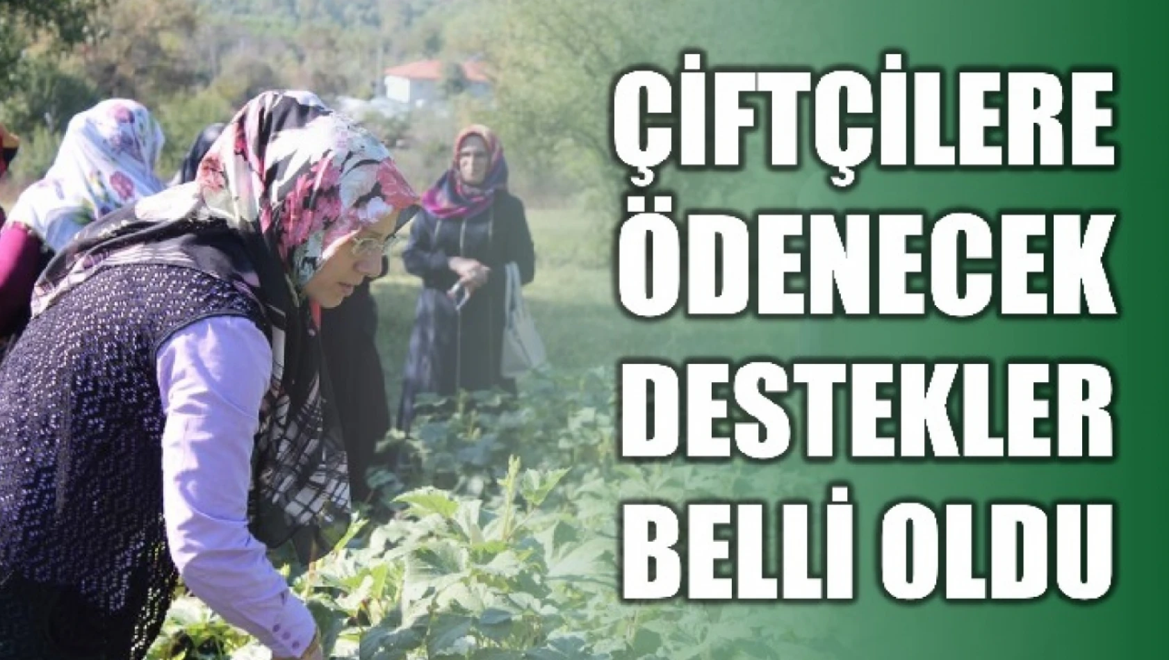 Resmi Gazete'de yayımlandı