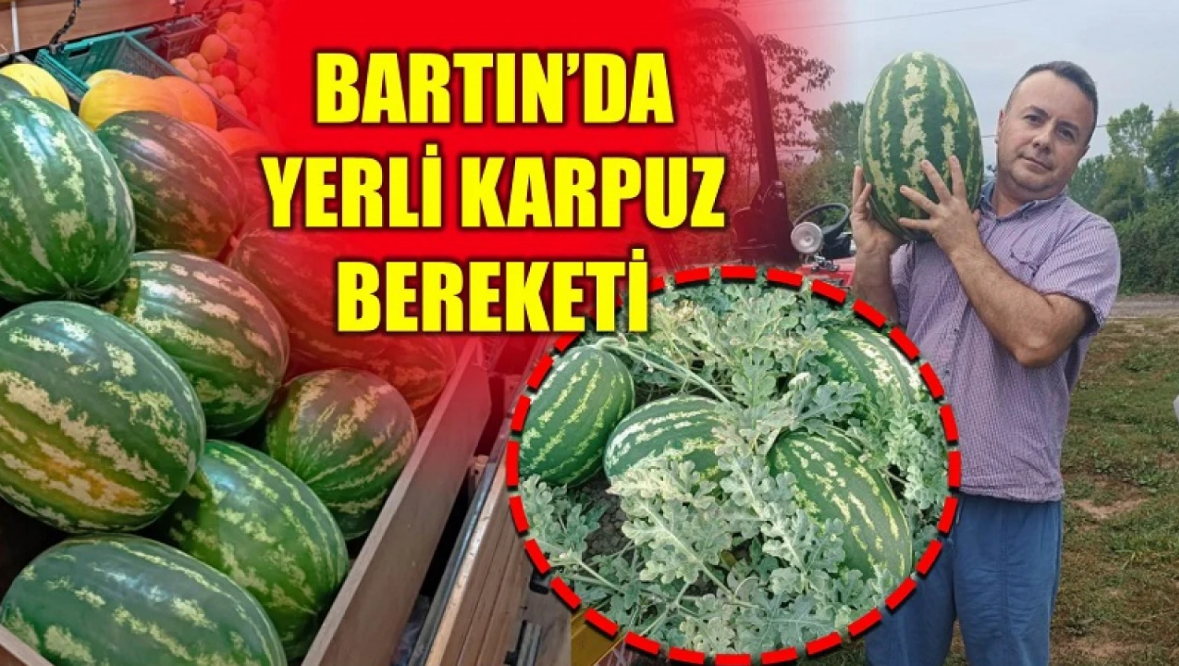 Sütlüce'de bal tadında karpuz yetişiyor