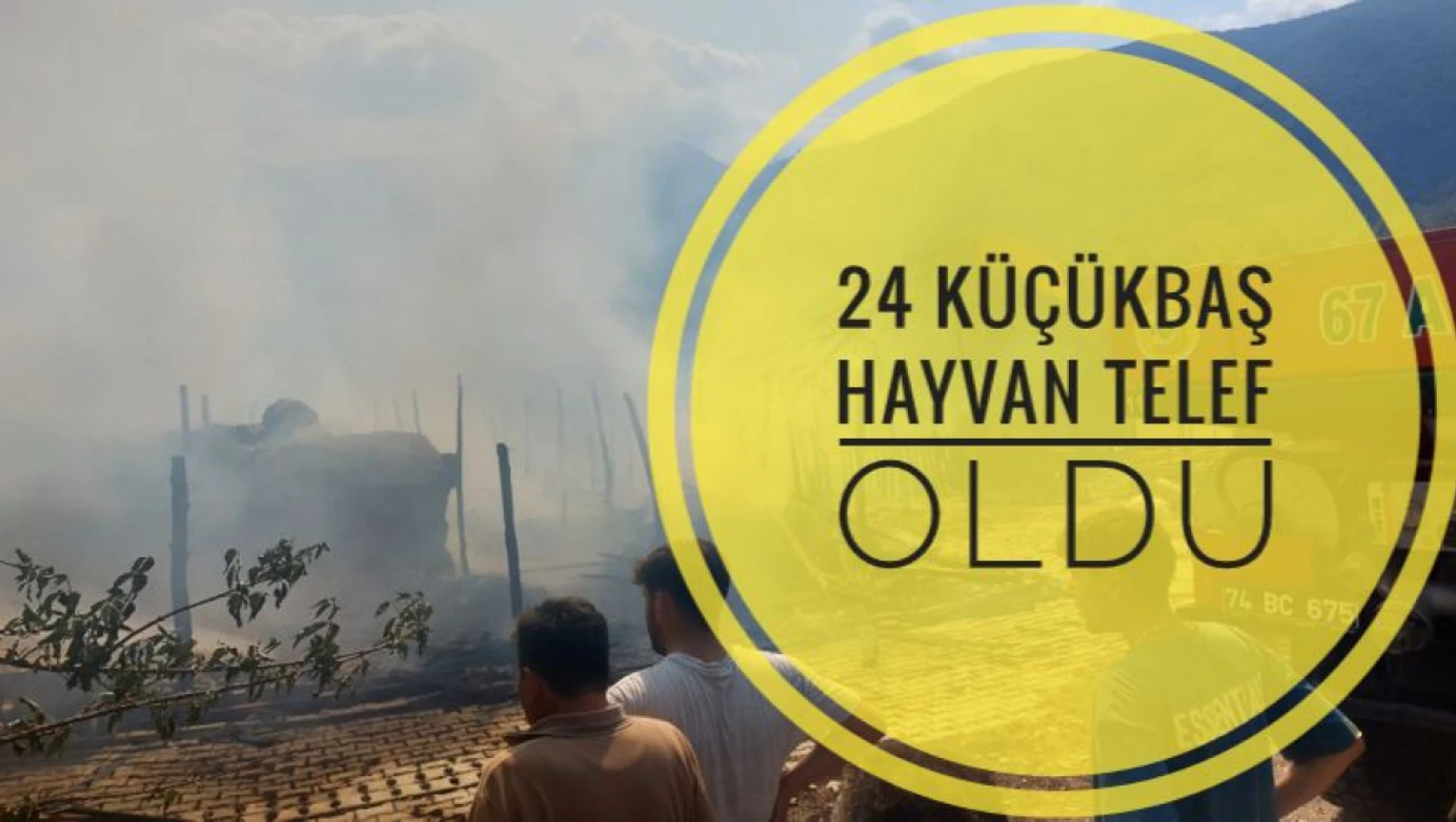 Yangında 24 küçükbaş hayvan telef oldu