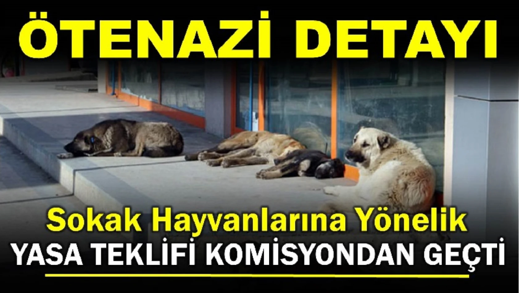 Yasa teklifi komisyondan geçti