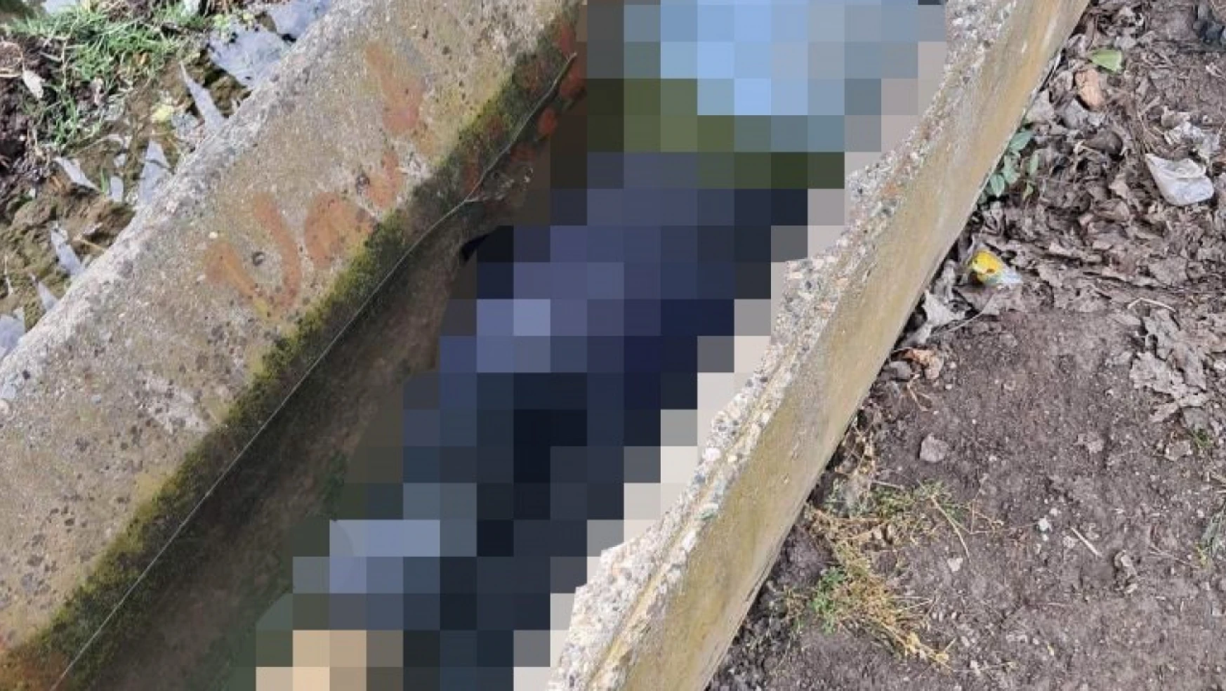Adana'da sulama kanalında kadın cesedi bulundu