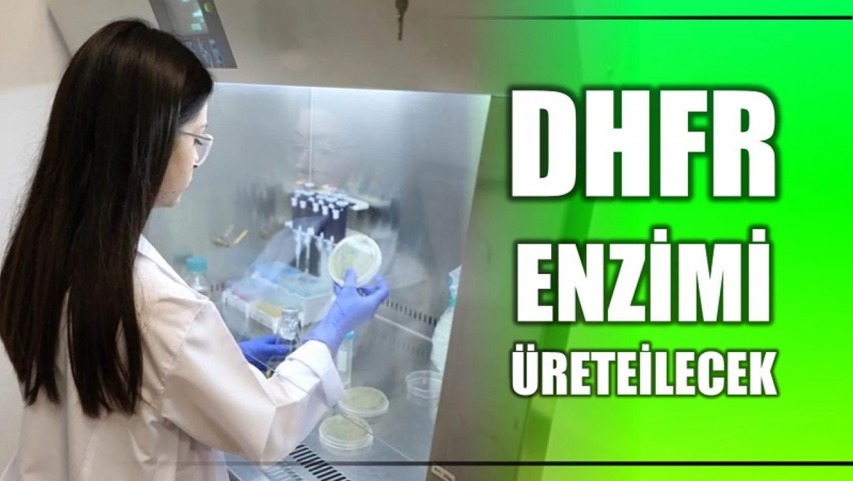 BARÜ'nün projesiyle DHFR enzimi üretilecek