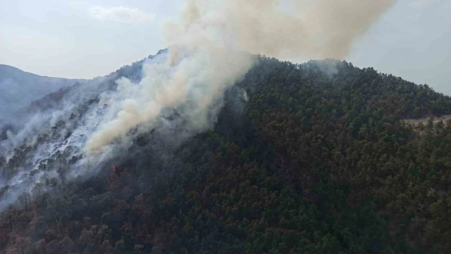Bolu'da aynı ilçede 2 farklı orman yangını