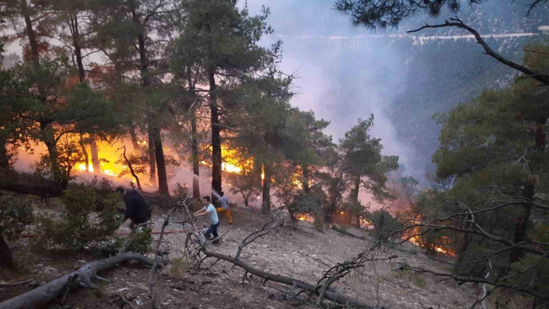 Bolu'da ormana düşen yıldırım yangın çıkardı