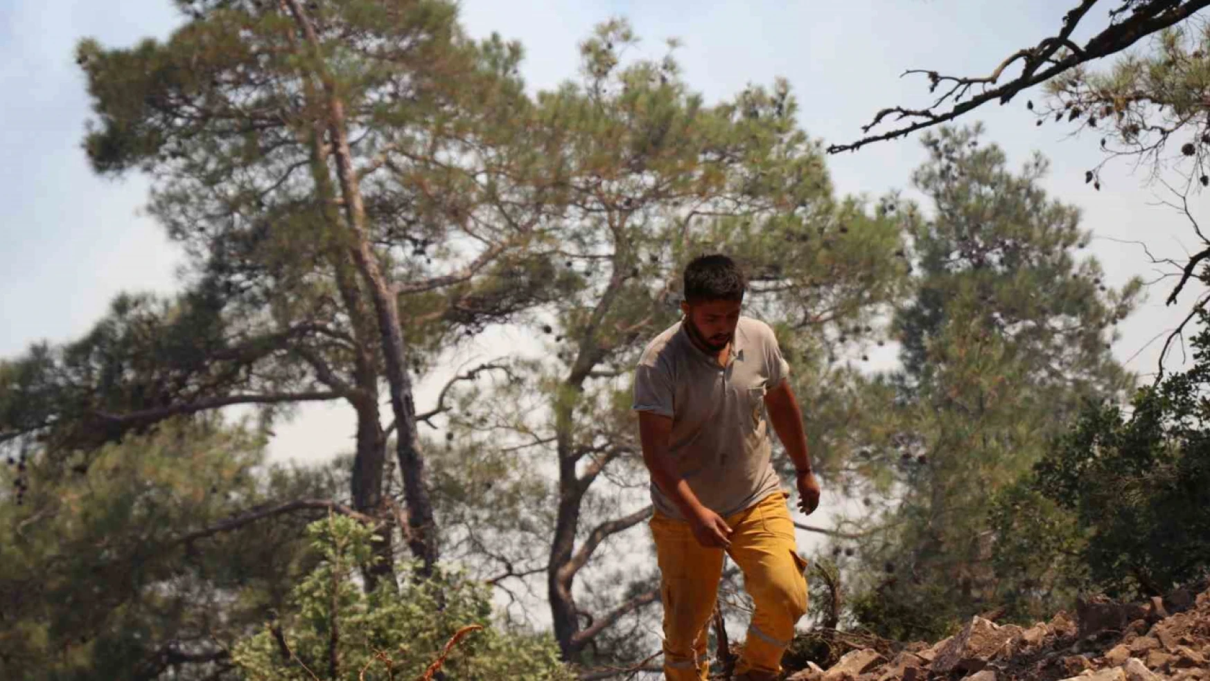 Bolu'daki orman yangınına müdahale devam ediyor