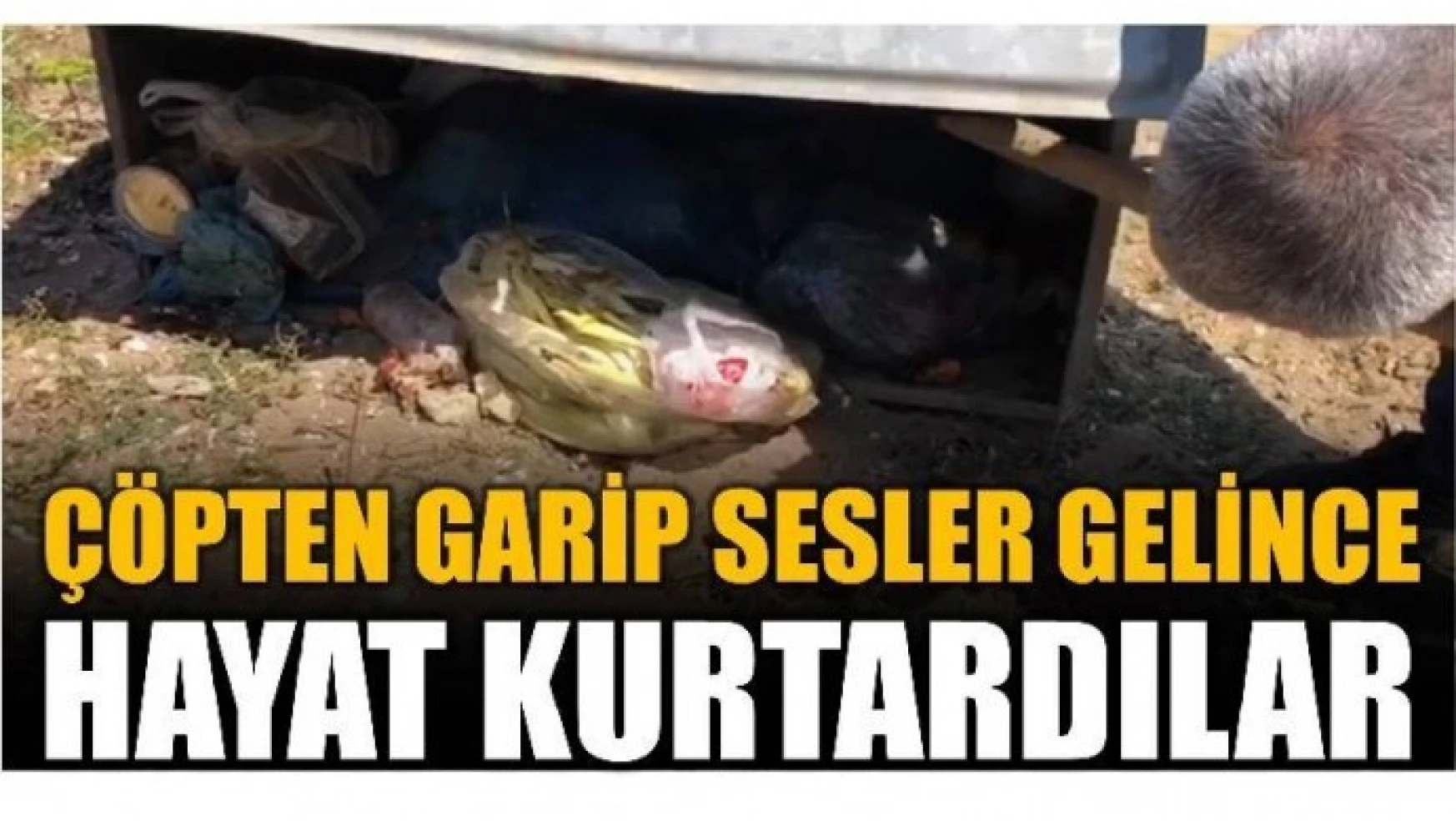 ÇÖPTE GARİP SESLER DUYDULAR!