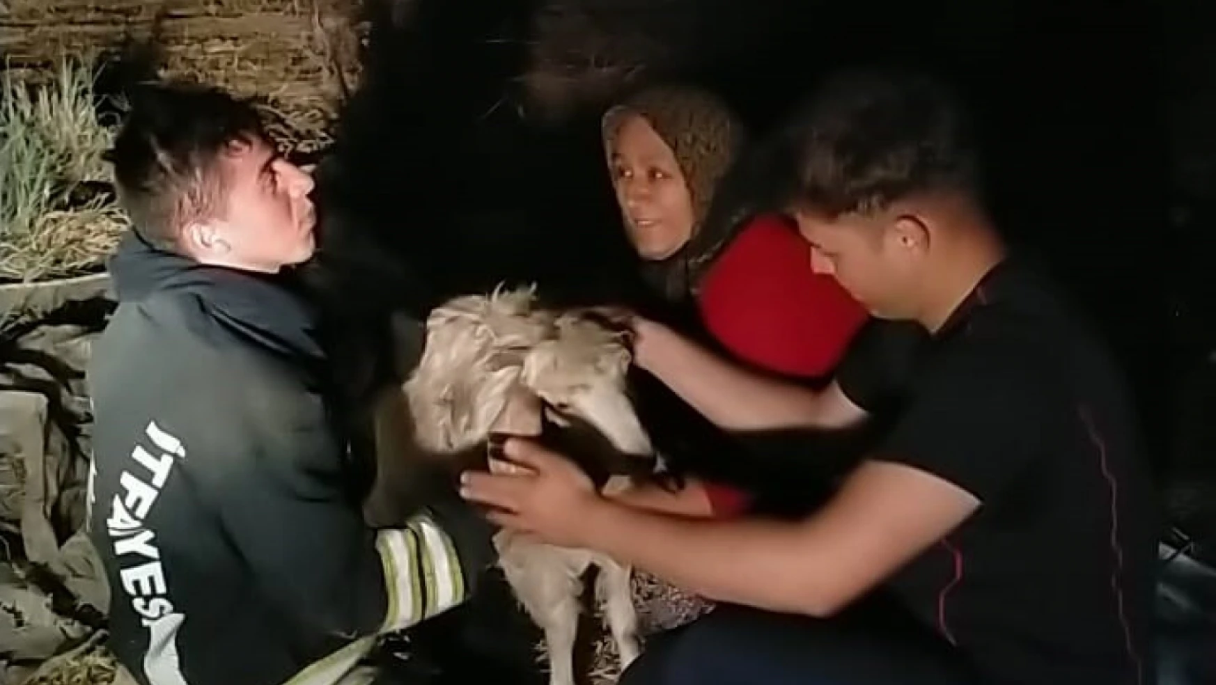 Konya'da 12 metrelik kuyuya düşen keçiyi itfaiye kurtardı