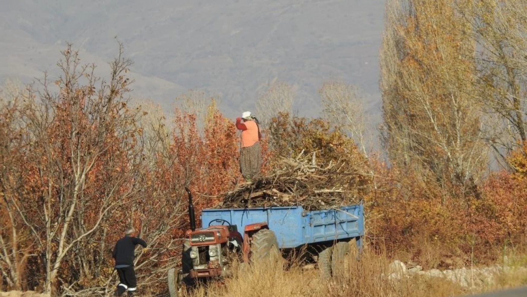 Köylerde kışlık odun hazırlığı