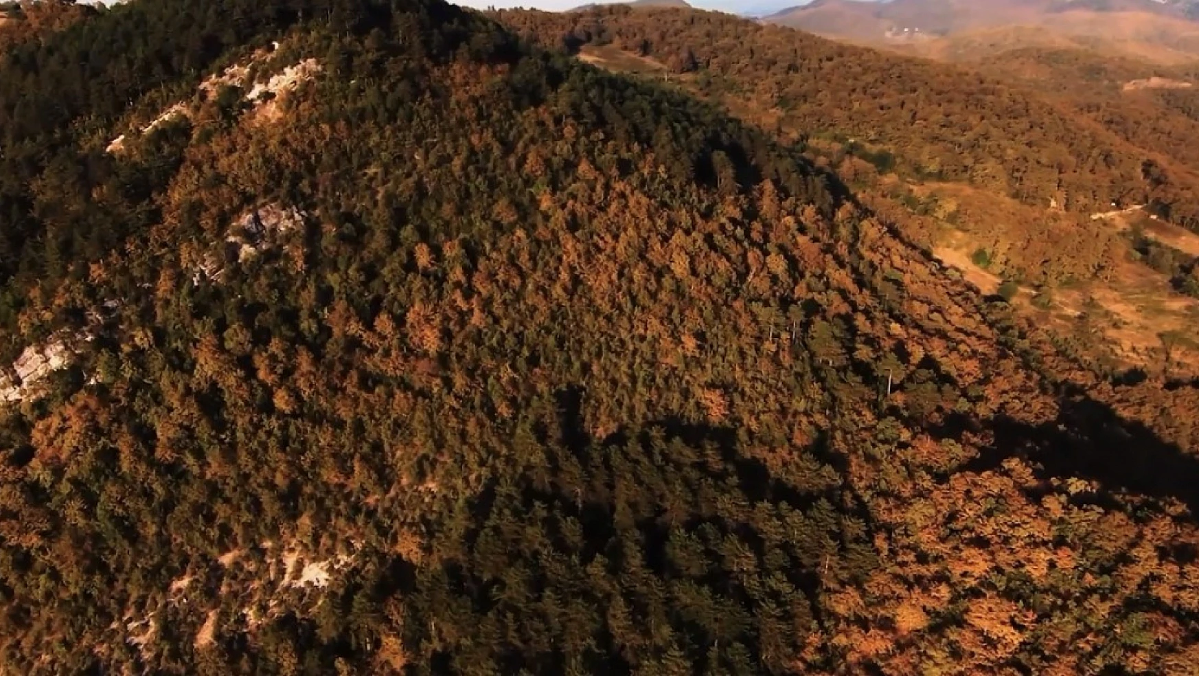 Ormanlarda eşsiz sonbahar manzaraları