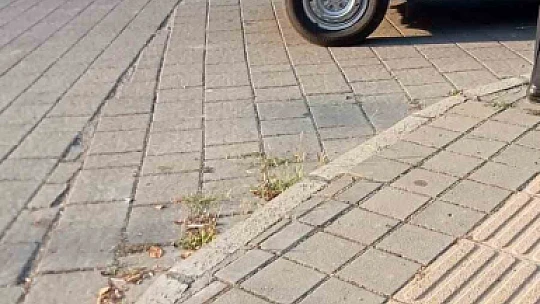 Anne ve anneannesini baltayla parçaladı