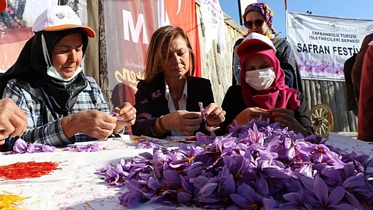 7. Safran Festivali 13-15 Ekim'de yapılacak
