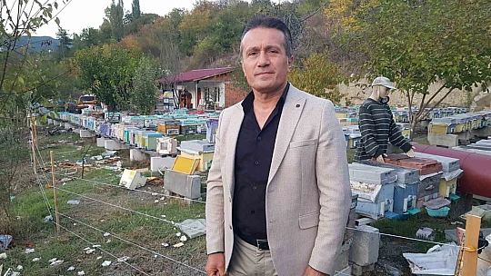 Aç ayı kovanları parçaladı