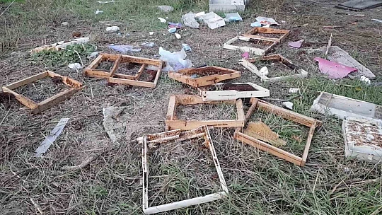 Aç ayı kovanları parçaladı