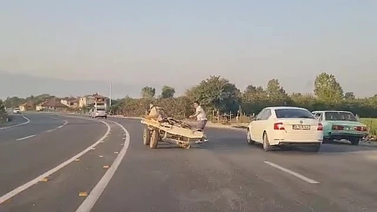 At önce tekeri sonra sahibini bıraktı