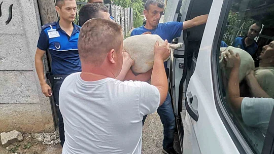 Bakılması yasak hayvanlara el konuldu